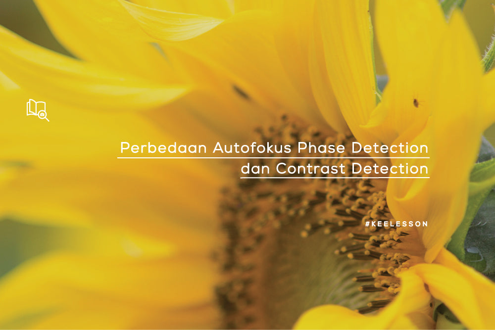 Difference between Phase Detection and Contrast Detection Autofocus ...