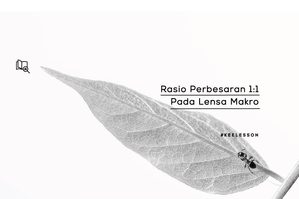 Rasio Perbesaran 1:1 Pada Lensa Makro