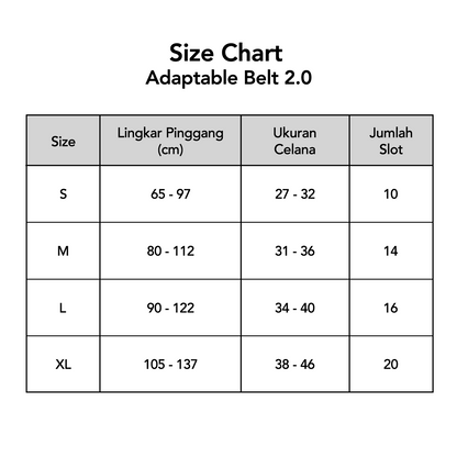Adaptable Belt 2.0